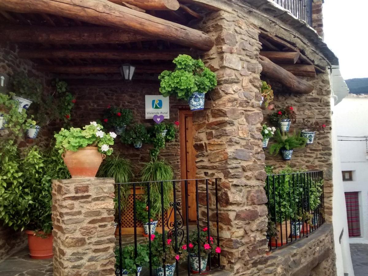 Casa Fina Dom wakacyjny *